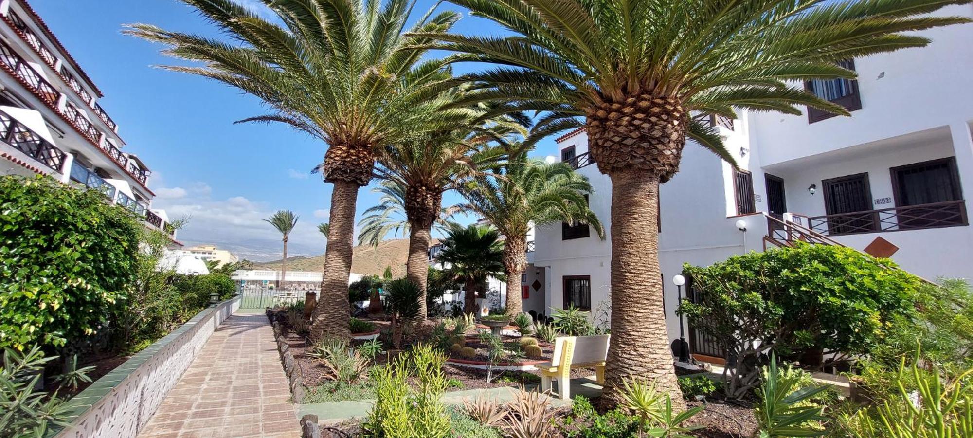 Sea View In Silent Residence South Tenerife Costa Del Silencio Exterior photo